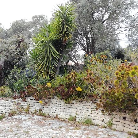Bonifacio, Maison 90M² Sous Les Oliviers, Vue Sardaigne Bonifacio  Eksteriør bilde