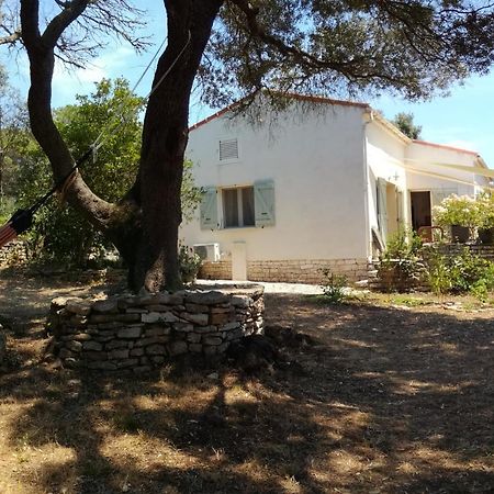 Bonifacio, Maison 90M² Sous Les Oliviers, Vue Sardaigne Bonifacio  Eksteriør bilde