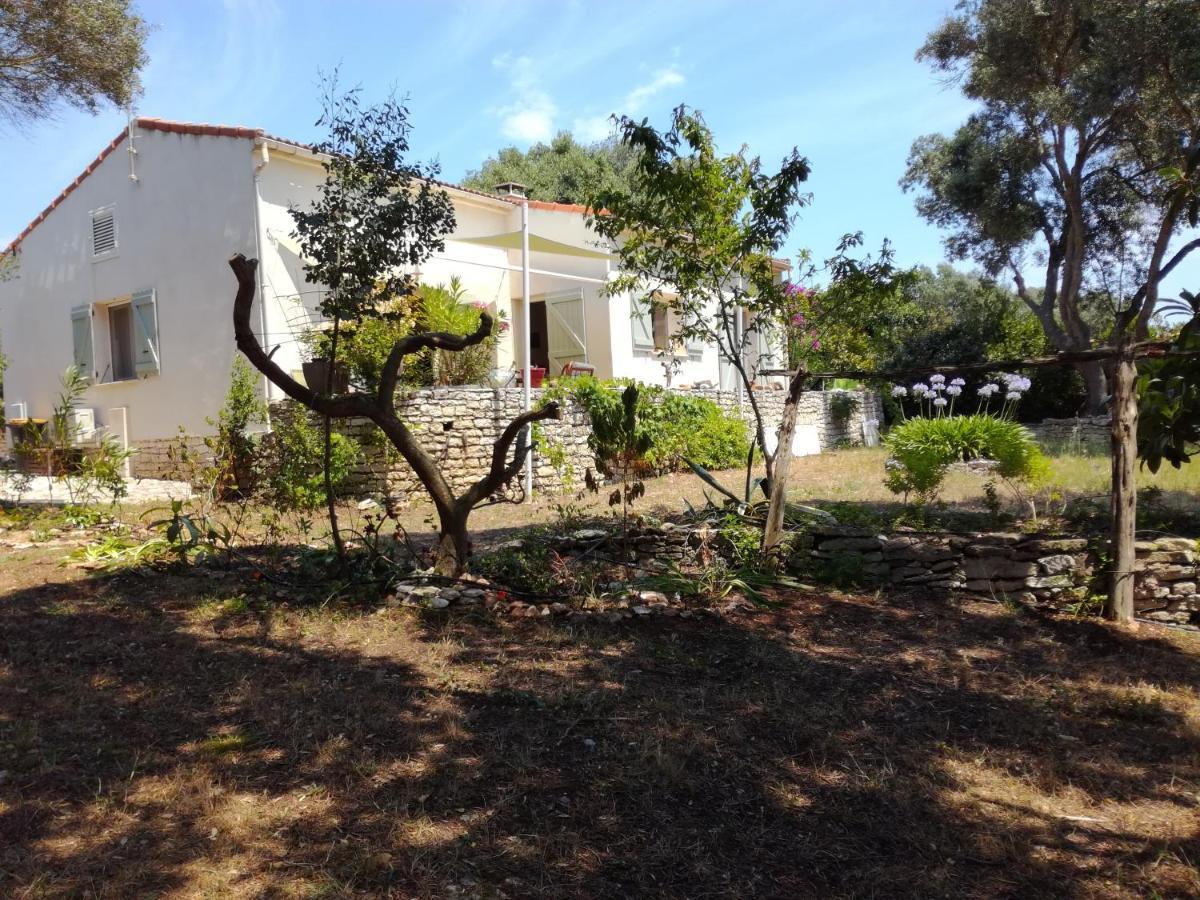 Bonifacio, Maison 90M² Sous Les Oliviers, Vue Sardaigne Bonifacio  Eksteriør bilde