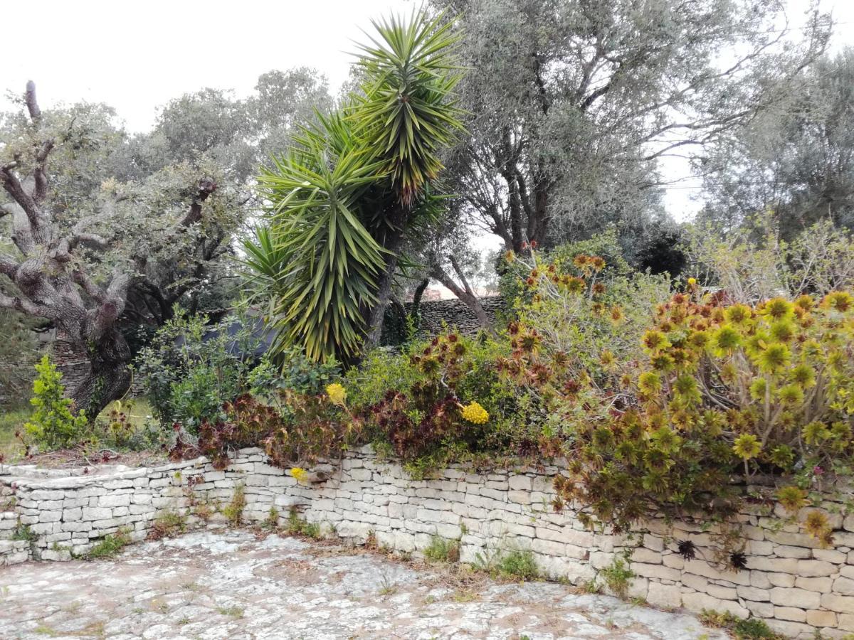 Bonifacio, Maison 90M² Sous Les Oliviers, Vue Sardaigne Bonifacio  Eksteriør bilde